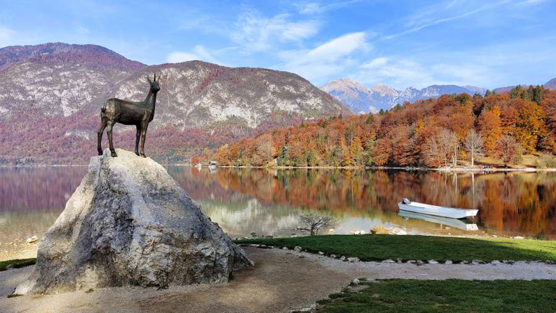 Bohinj