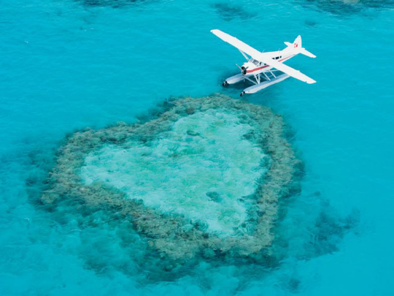 heart reef