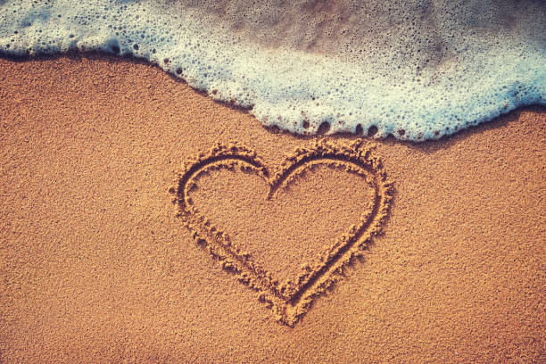 amor passageiro