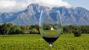 winelands