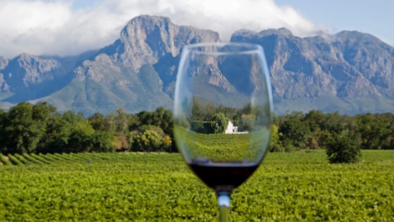winelands