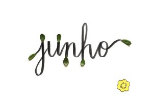 Calendário do Amor de junho