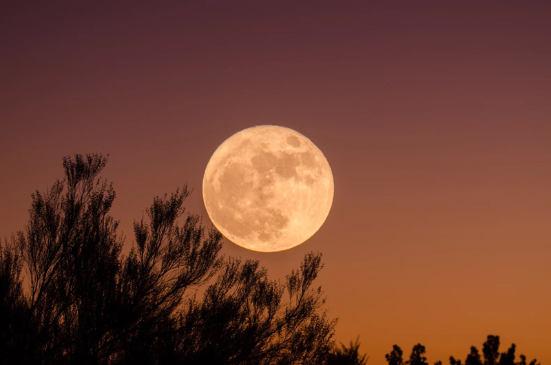 Lua do Lobo de janeiro