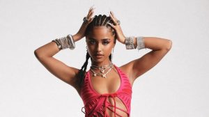 Tyla desmaia após show no Brasil
